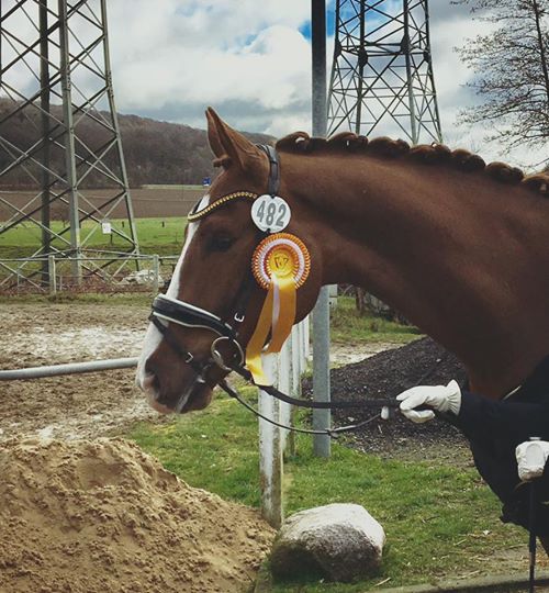 17353646_1689240617759398_4029786211807666118_n