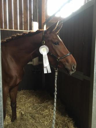 22549501_1455300234585890_6469128554697799782_n