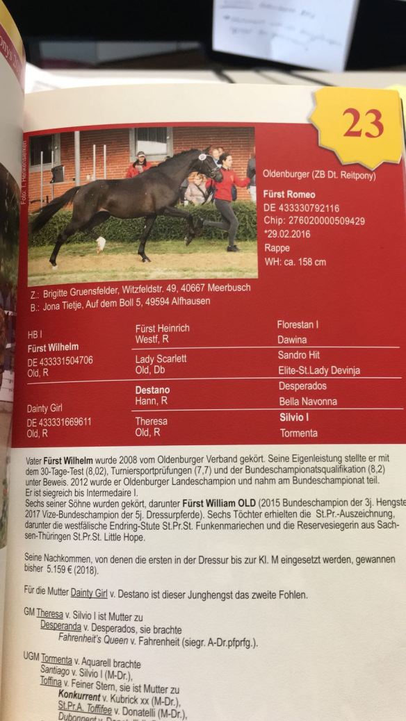 4F9AE0C0-AB57-4C4A-AB24-3A9F6ED7CDF5